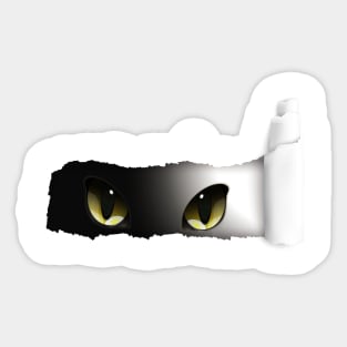 Cat Peeking You Sticker